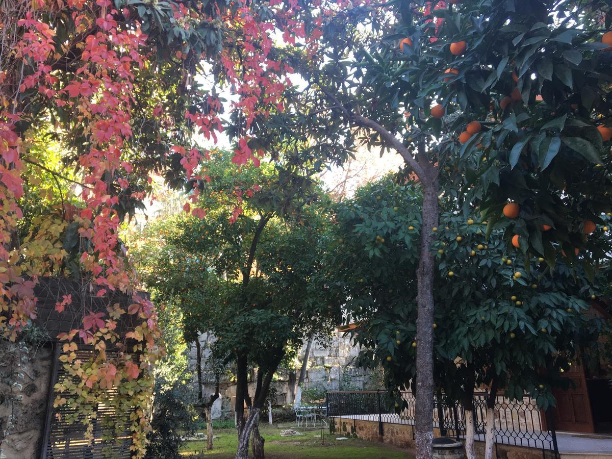 Citrus Garden 3* Antalya