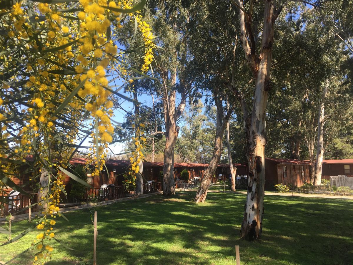 Lemonpark House 3*