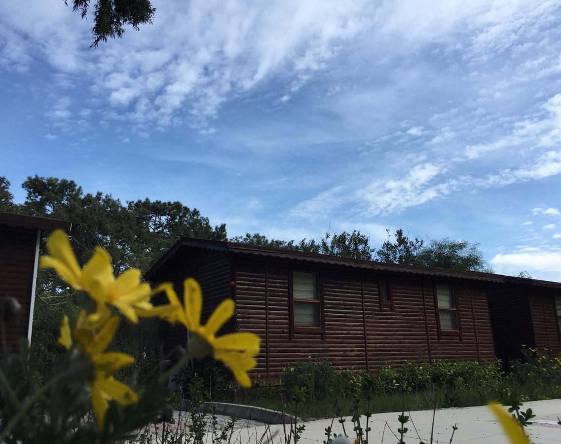 Lemonpark House
