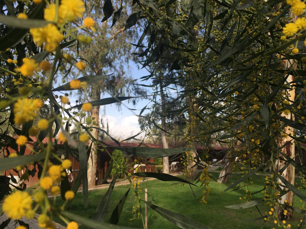 Lemonpark House 3* Antalya