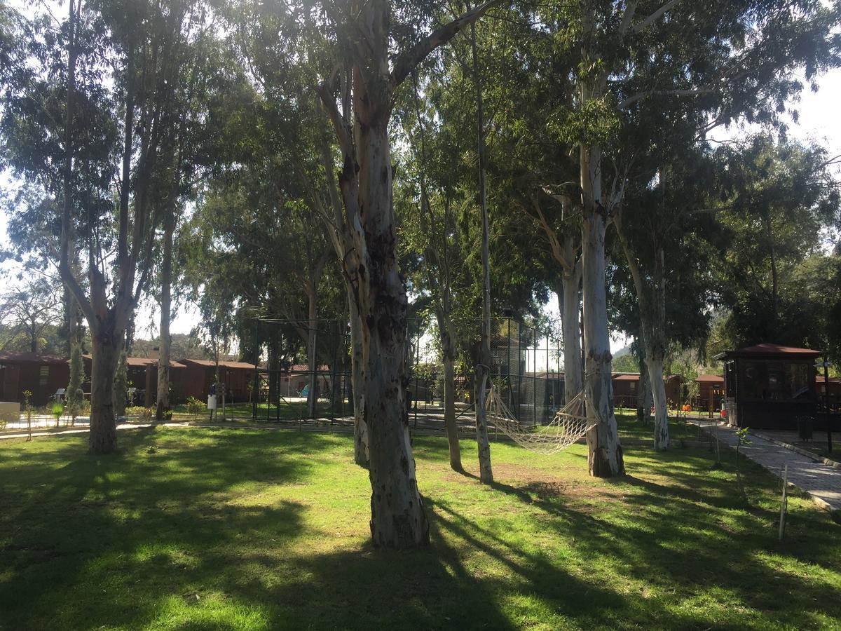 Lemonpark House Resort