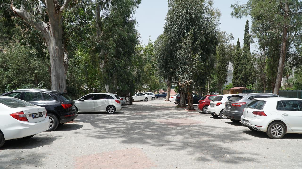 Lemonpark House