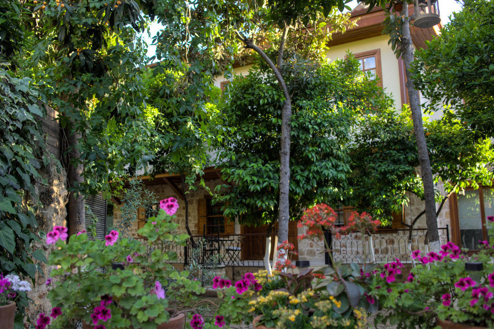 Hotel Citrus Garden