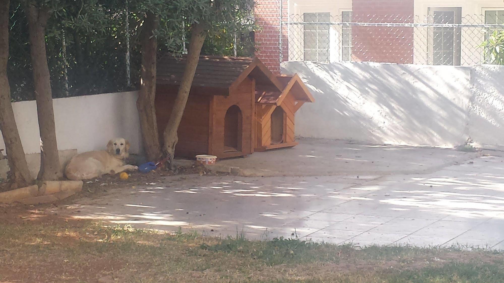 Pinus Hotel 3*