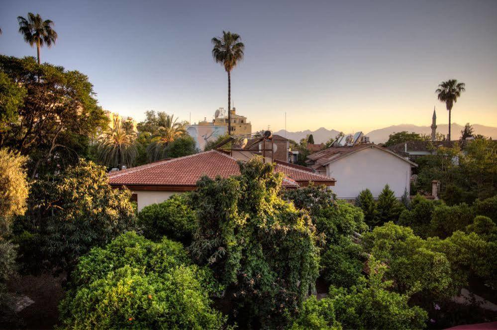 Citrus Garden Hotel