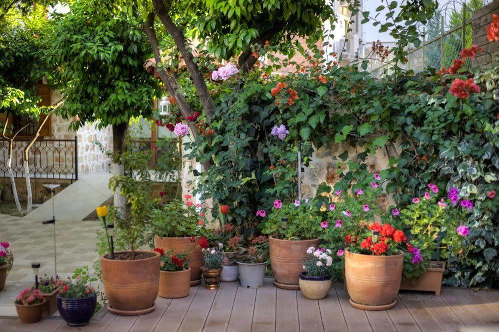 Citrus Garden