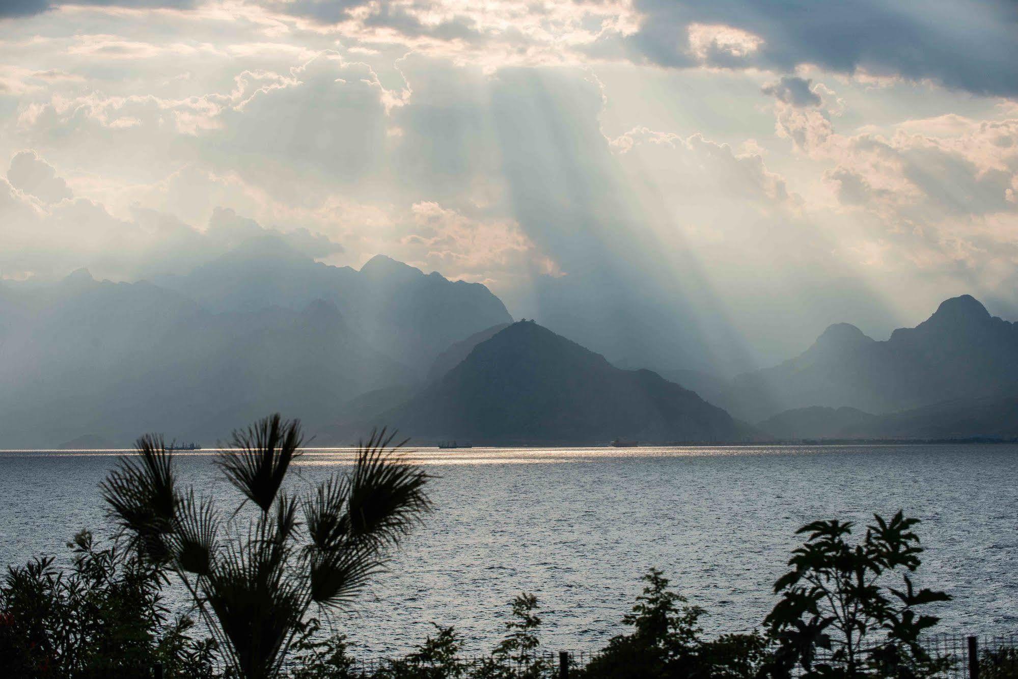 The Lifeco Well-being Detox Center And Vegan 3* Antalya