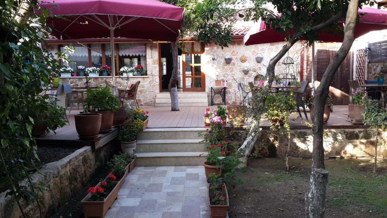 Hotel Citrus Garden Antalya
