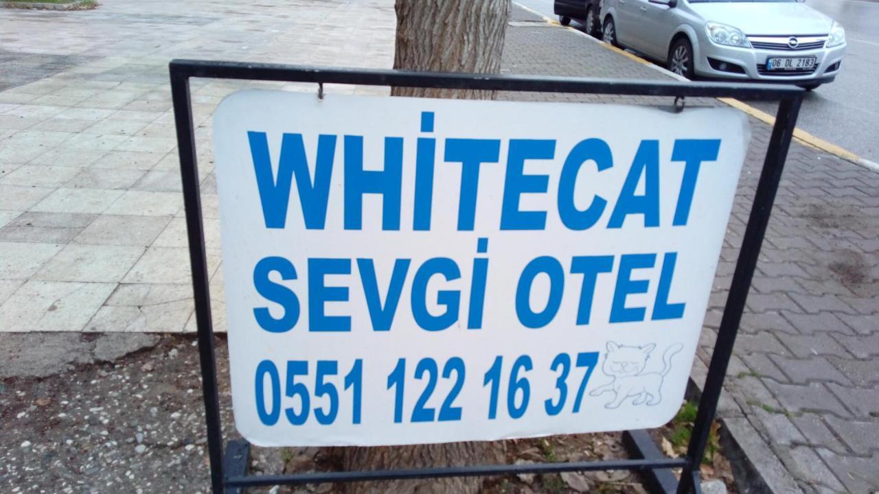 Hotel White Cat Sevgi 2*