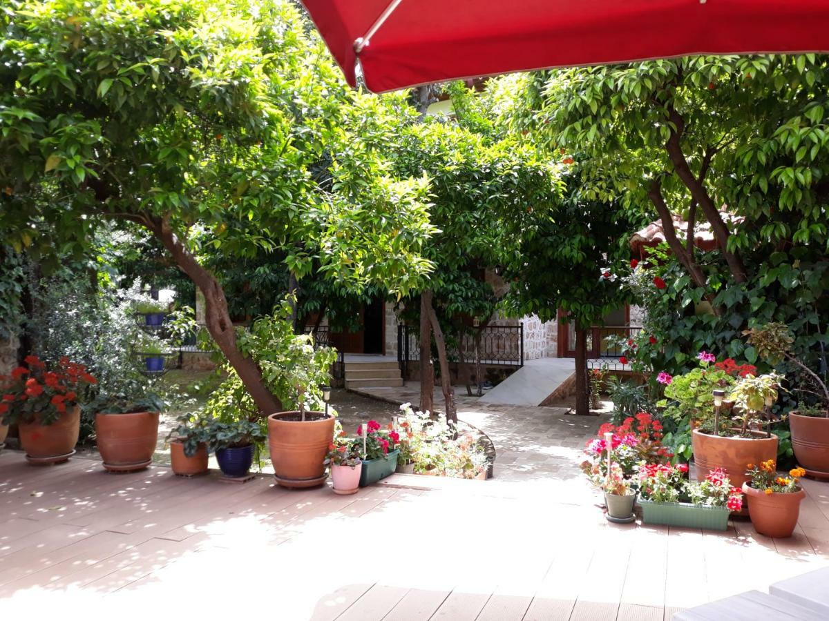 Hotel Citrus Garden