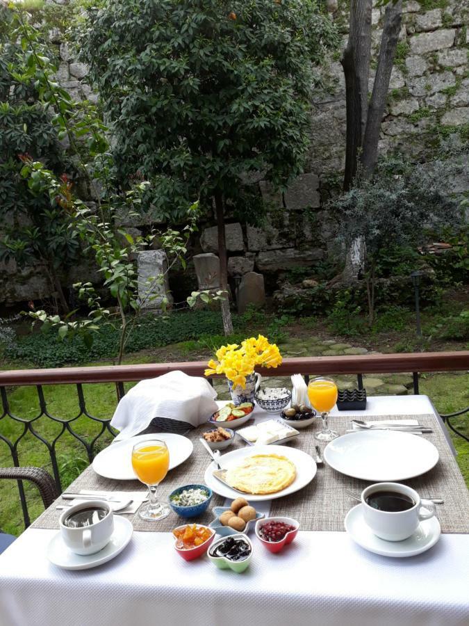 Hotel Citrus Garden