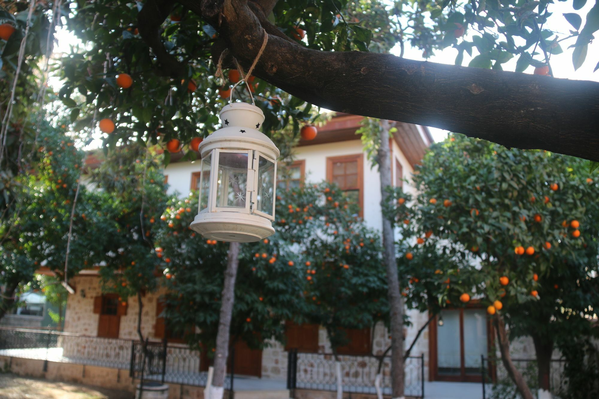 Citrus Garden 3* Antalya