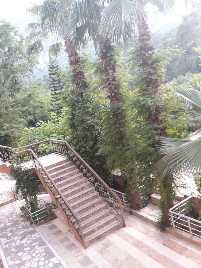 Kromer Garden 3*