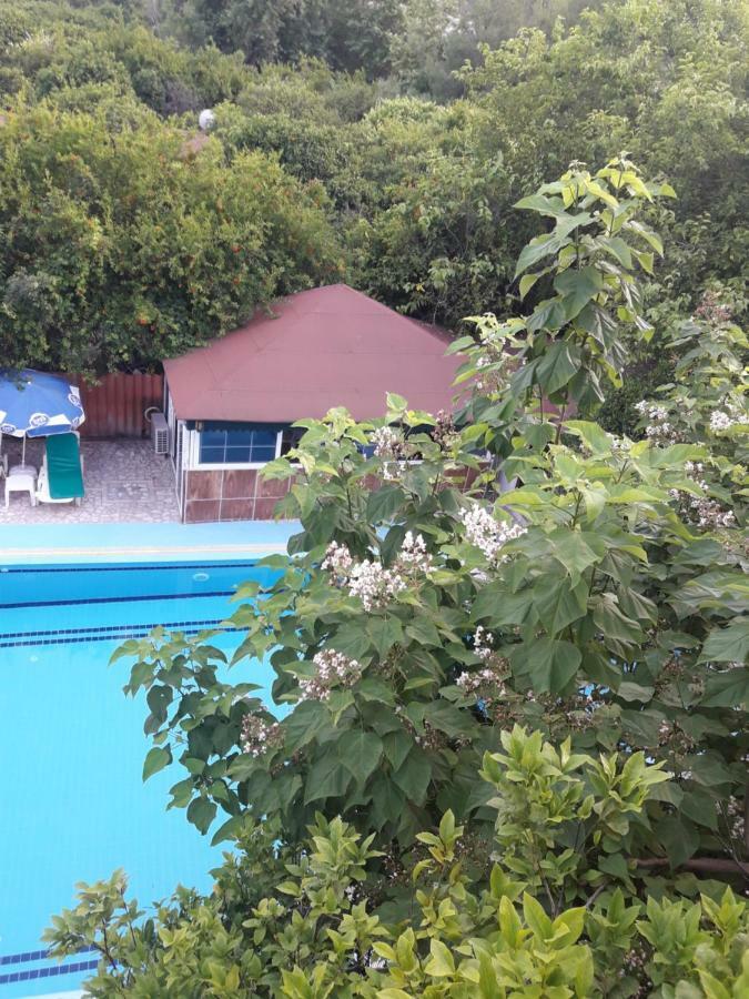 Kromer Garden 3*