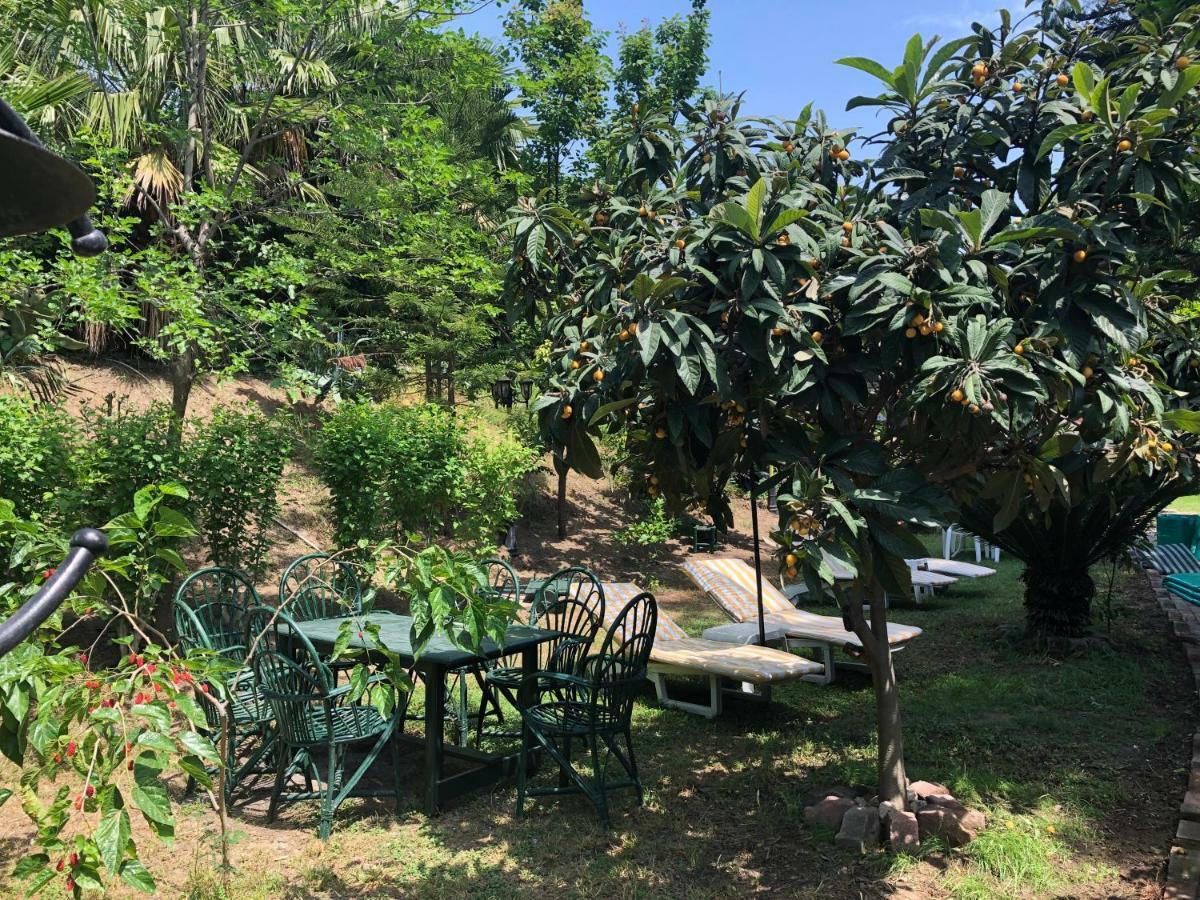 Hotel Kromer Garden 3*