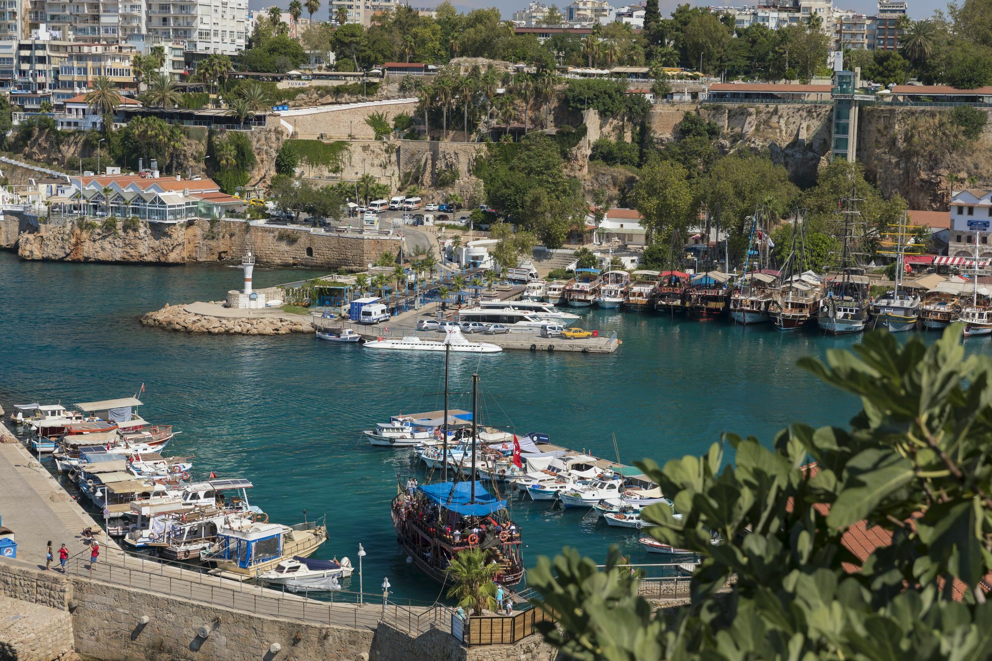 Delight Deluxe & Antalya