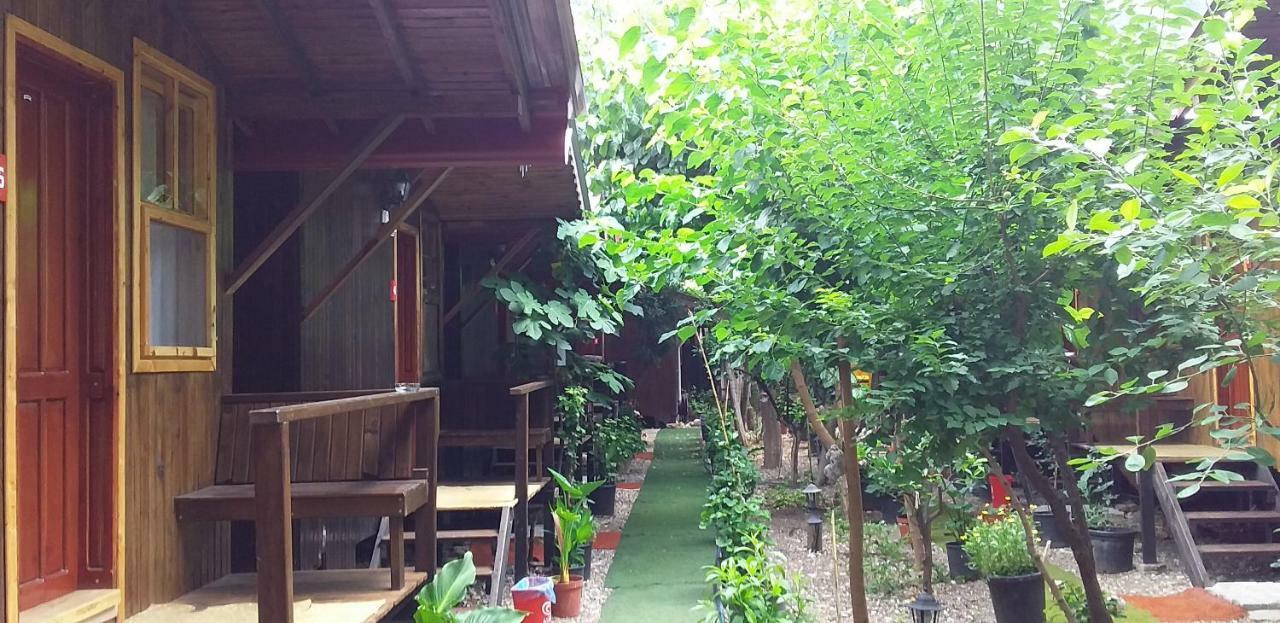 Homestay Zakkum