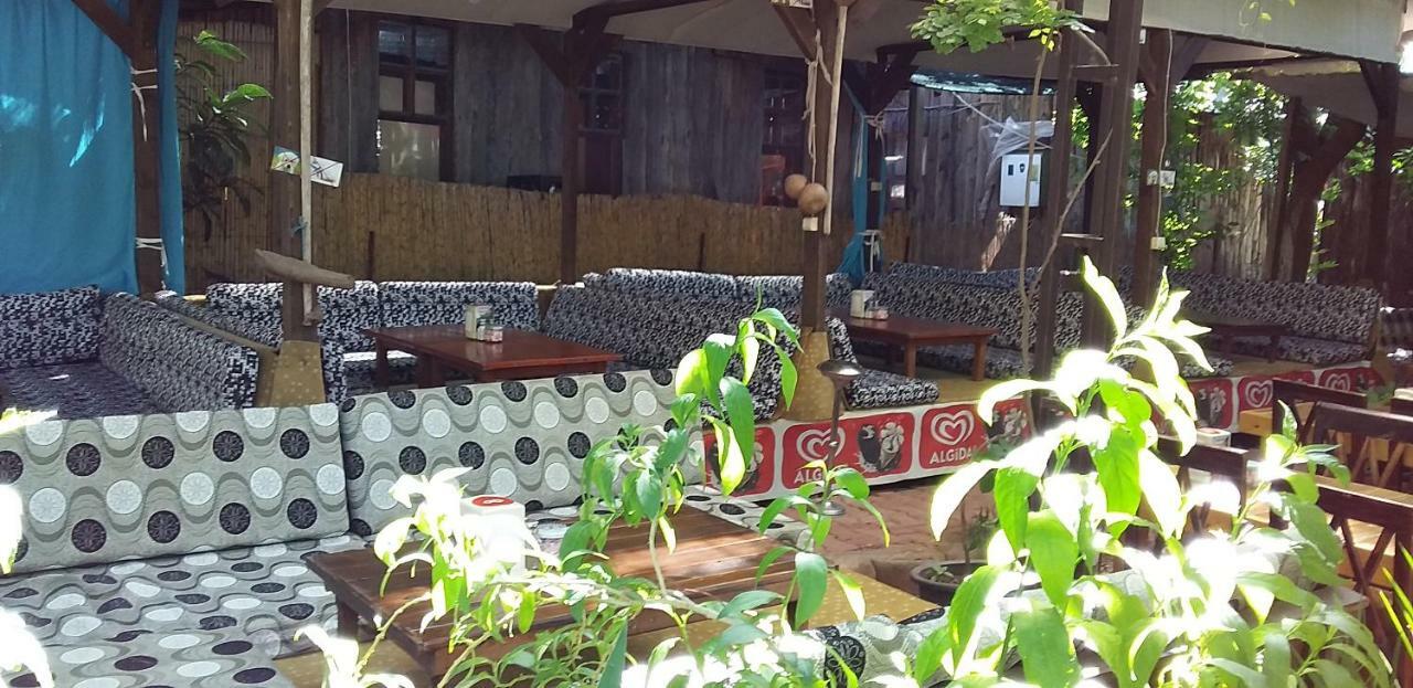 Zakkum Antalya