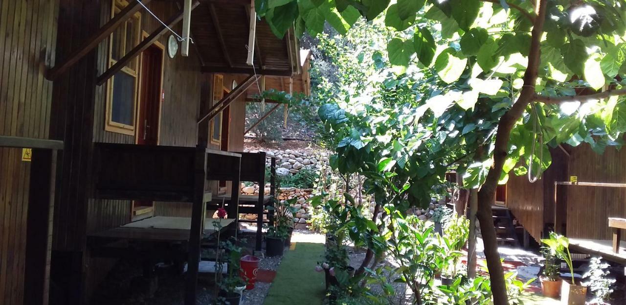 Zakkum Homestay