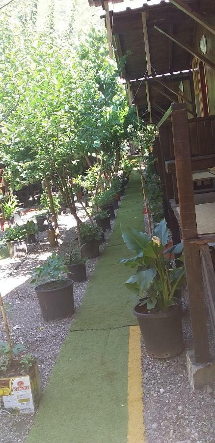 Zakkum Homestay Antalya