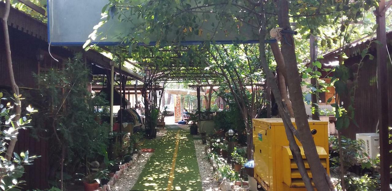 Zakkum Homestay *