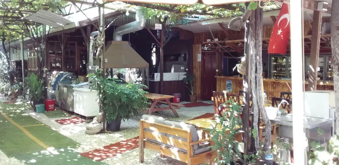 Homestay Zakkum Antalya