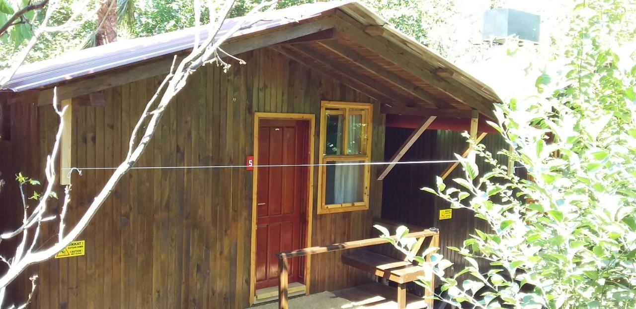 Zakkum Homestay Antalya