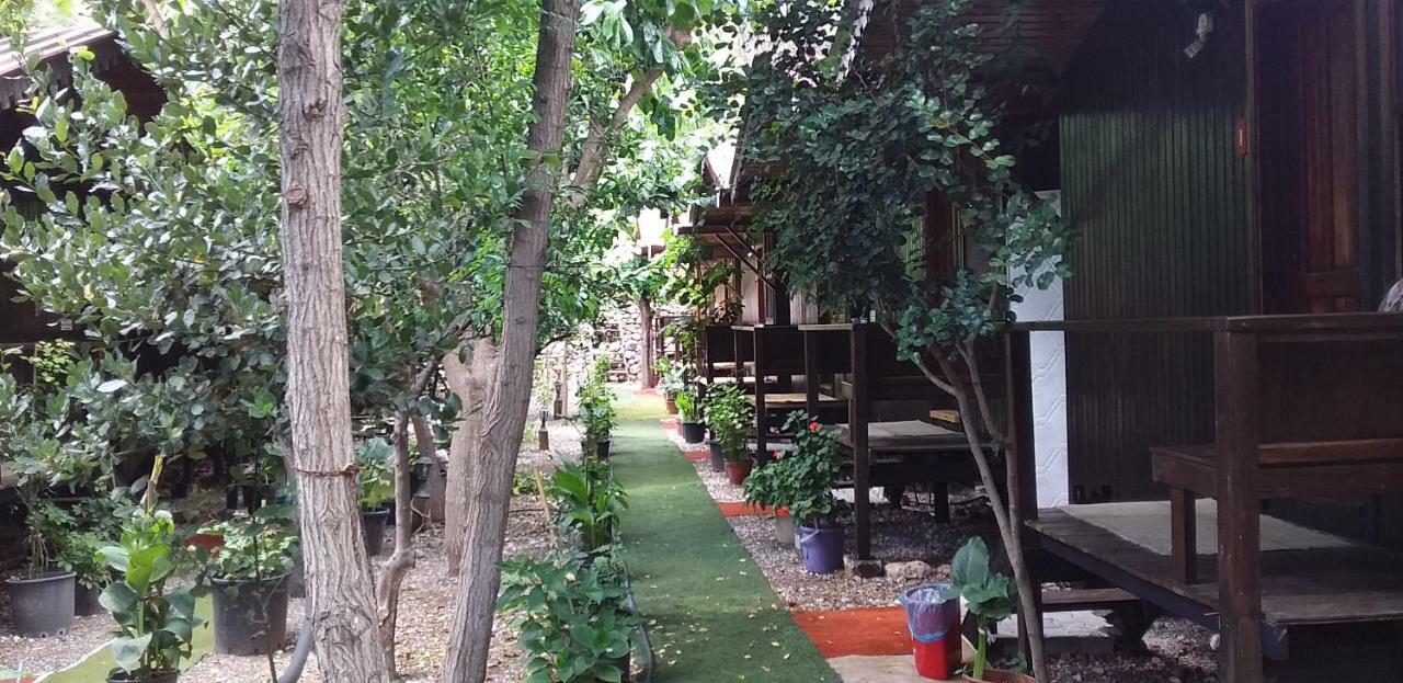 Homestay Zakkum Antalya