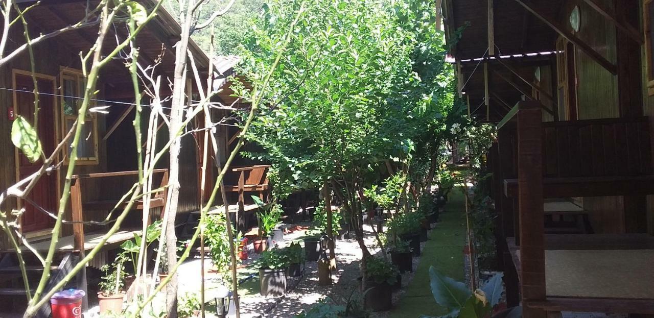 Zakkum Homestay