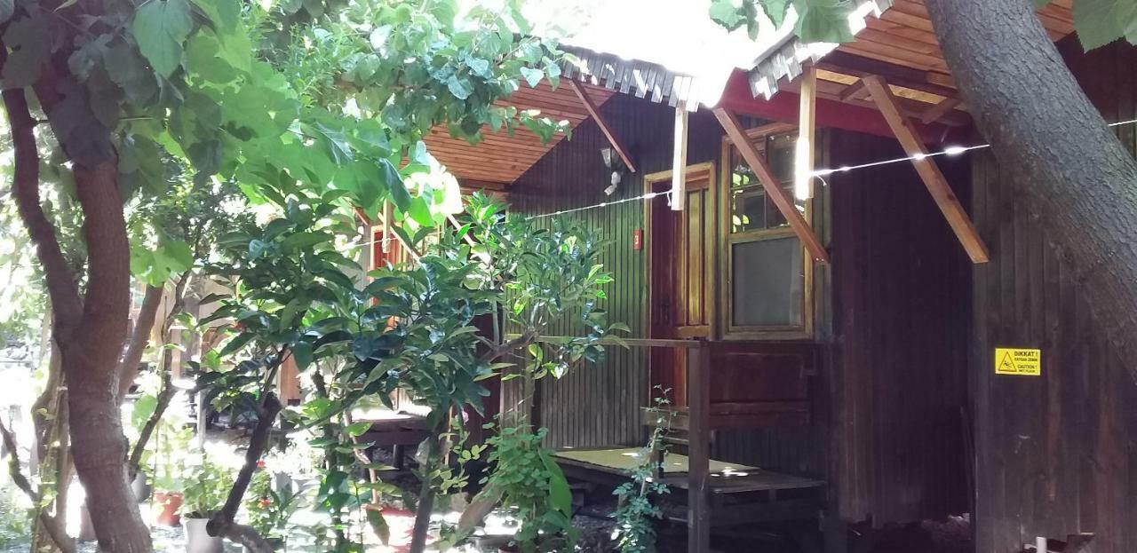 Zakkum Homestay