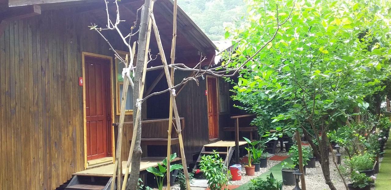 Zakkum Homestay Antalya
