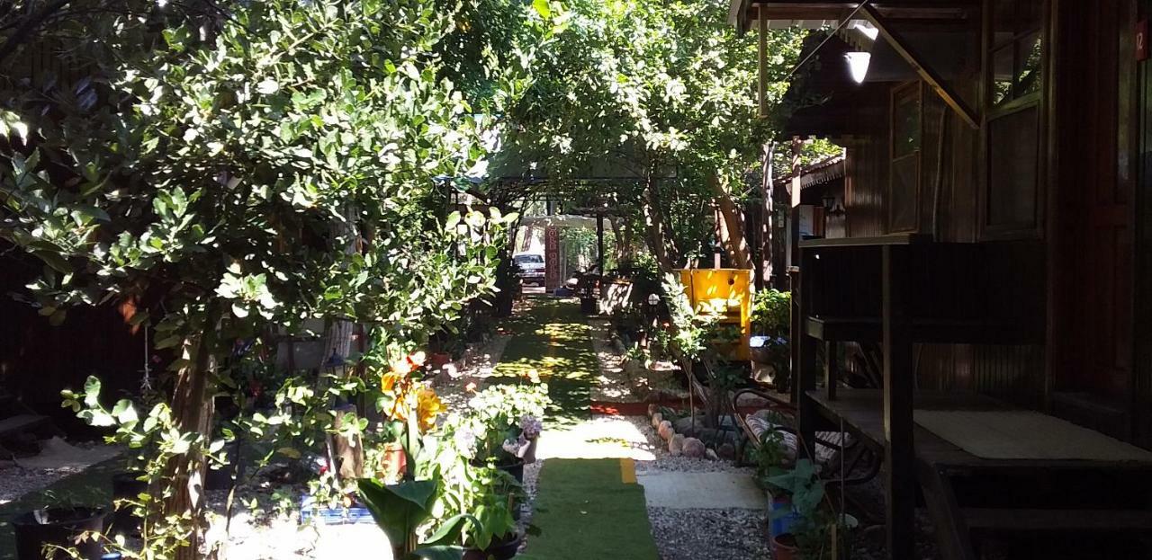 Zakkum Homestay