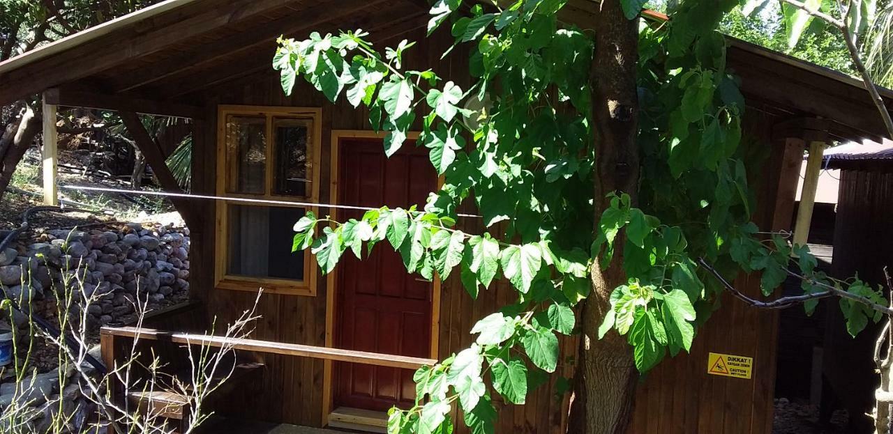Zakkum Homestay Antalya