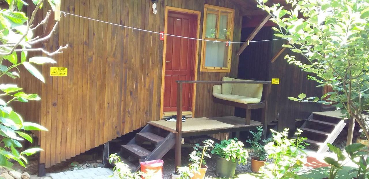 Homestay Zakkum *