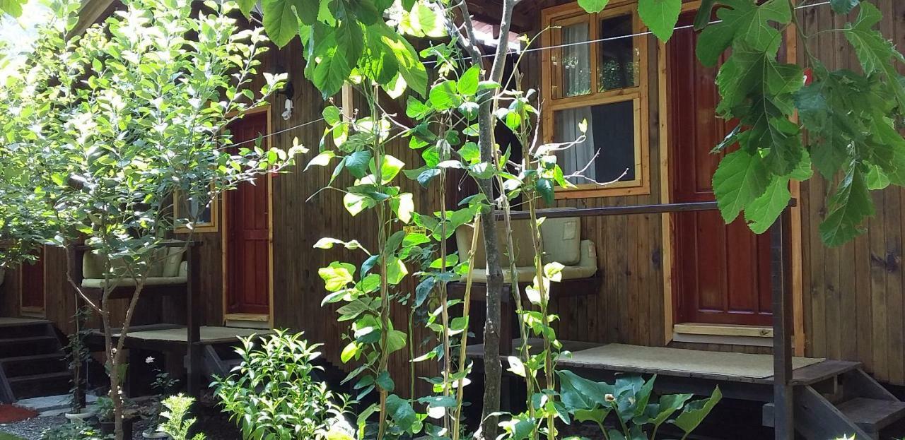 Homestay Zakkum