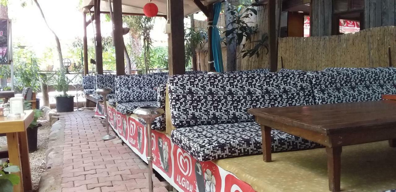 Homestay Zakkum