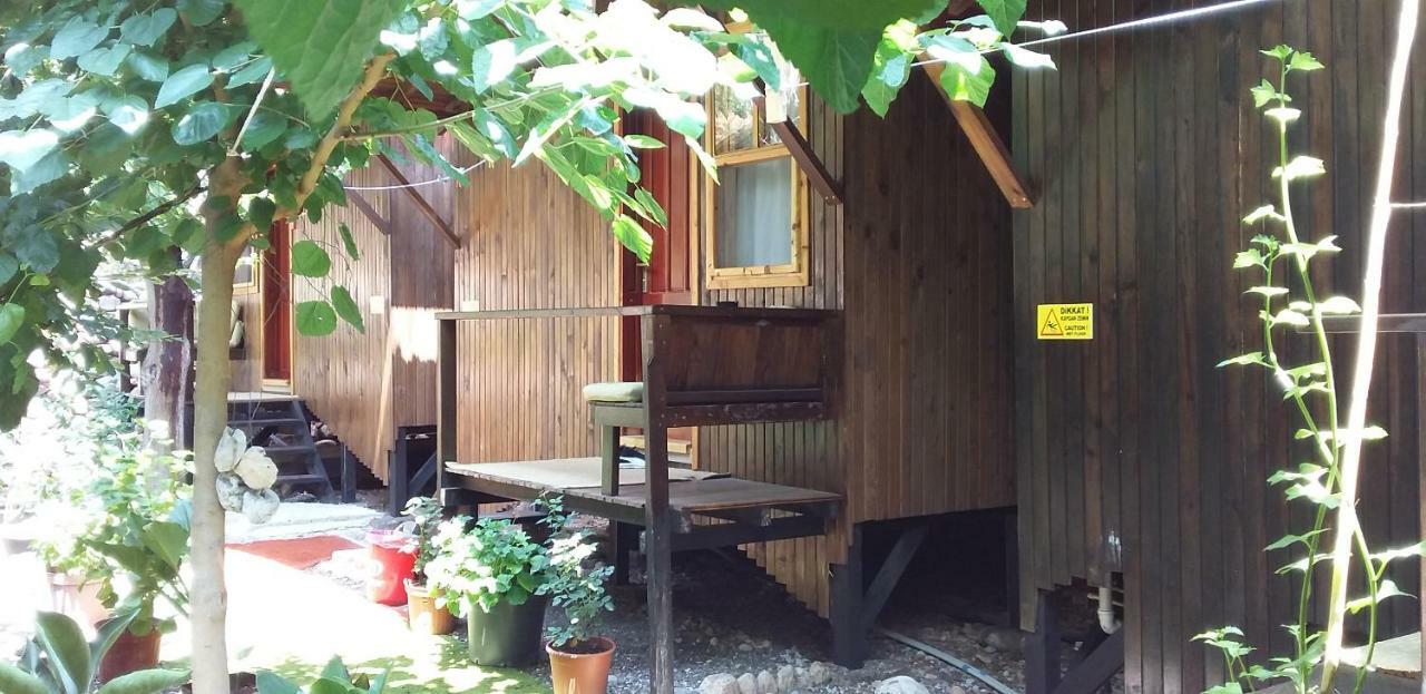 Homestay Zakkum