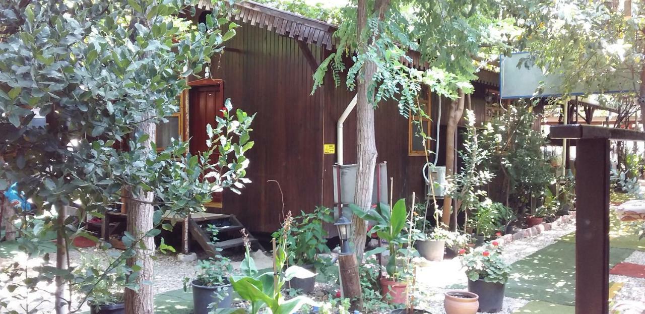 Zakkum Homestay *