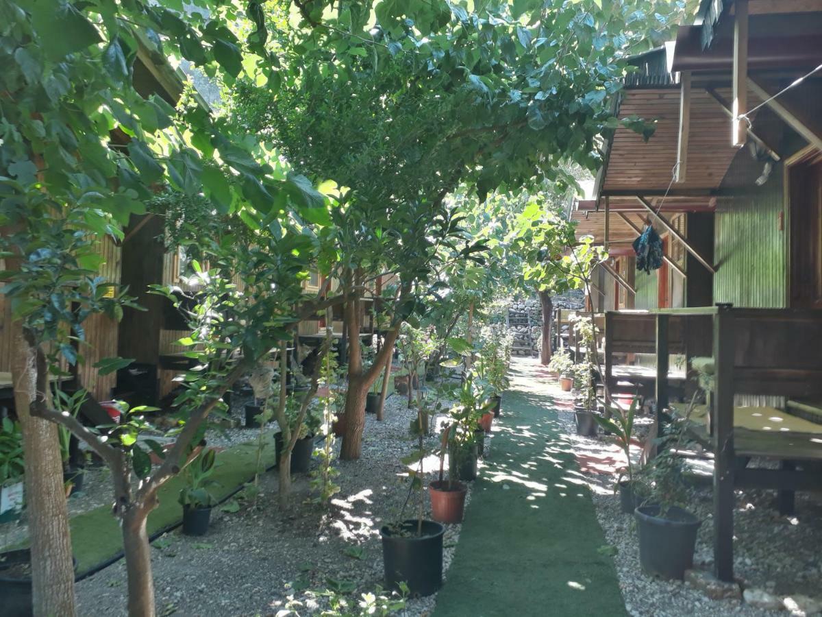 Zakkum Homestay Antalya