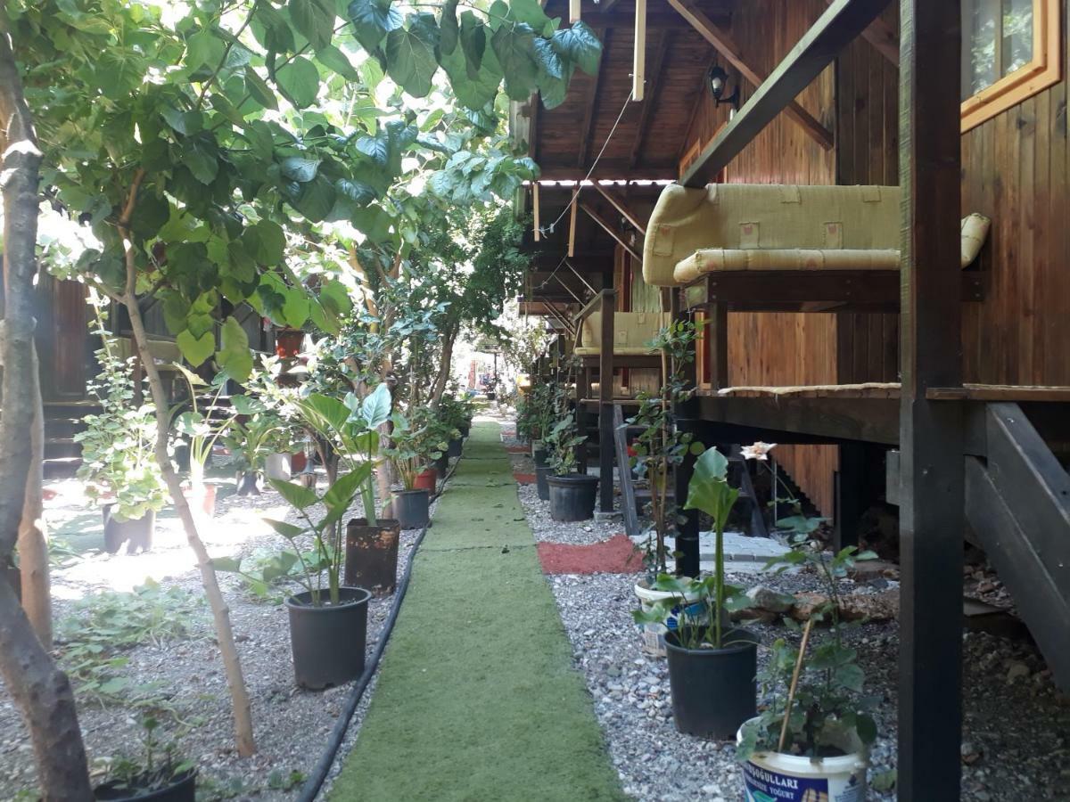 Zakkum Homestay