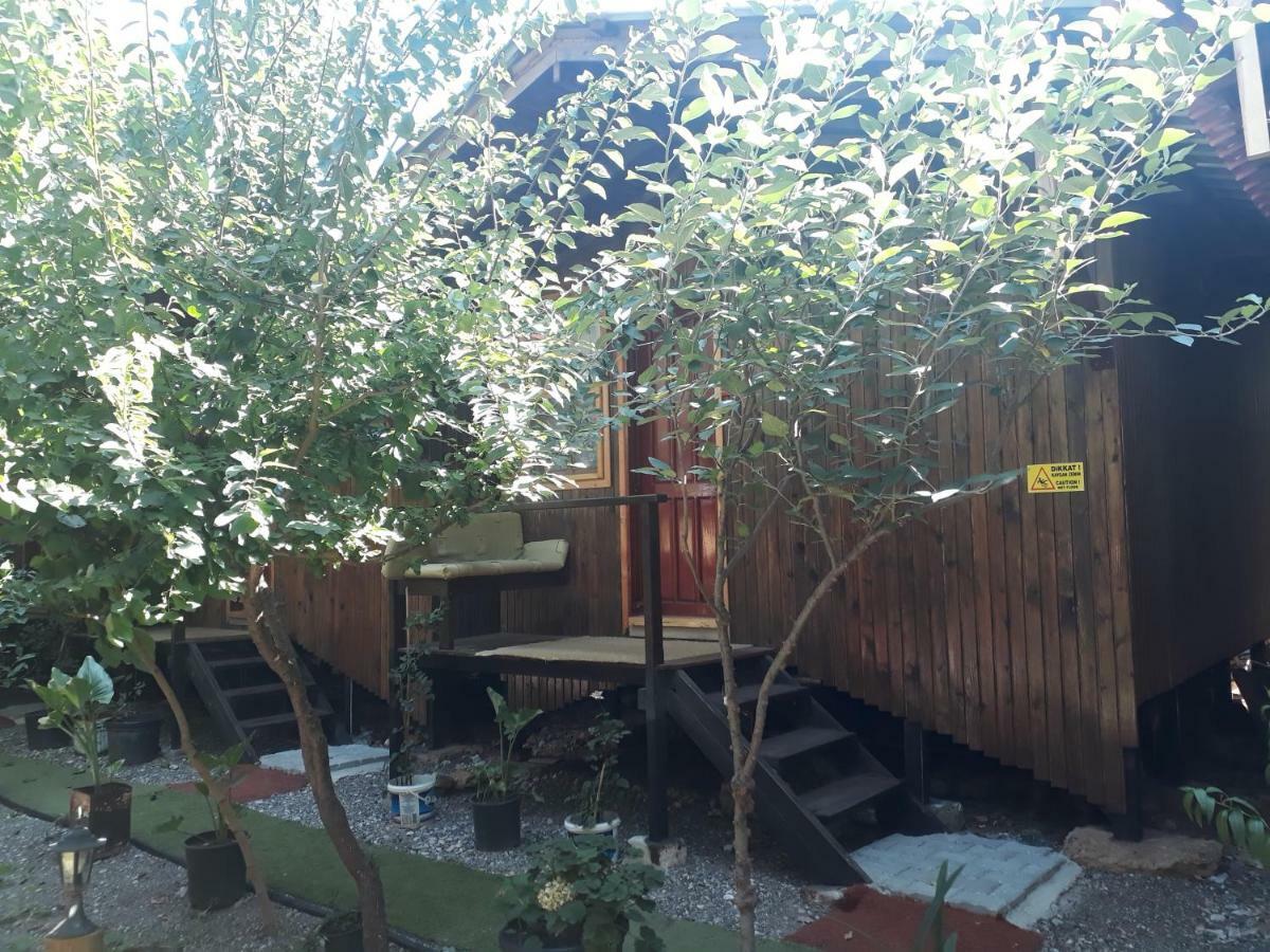Zakkum Homestay *