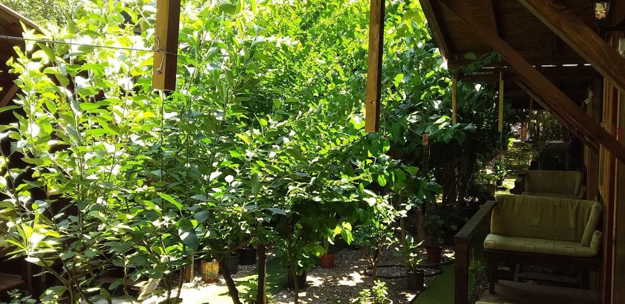 Homestay Zakkum