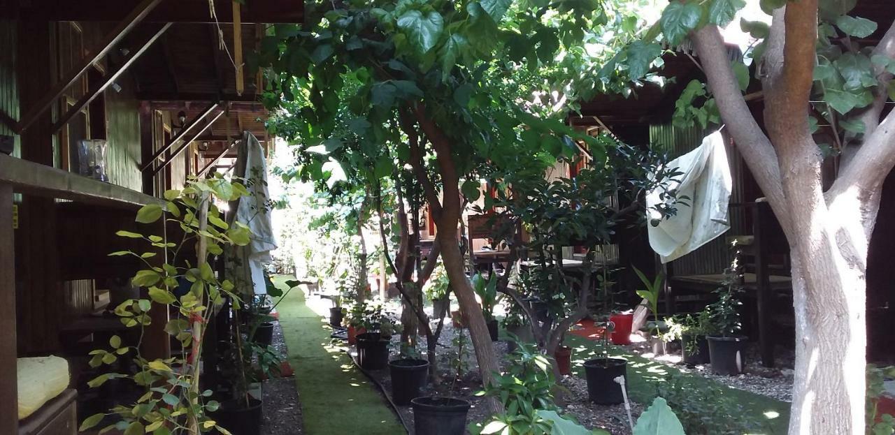 Zakkum Antalya