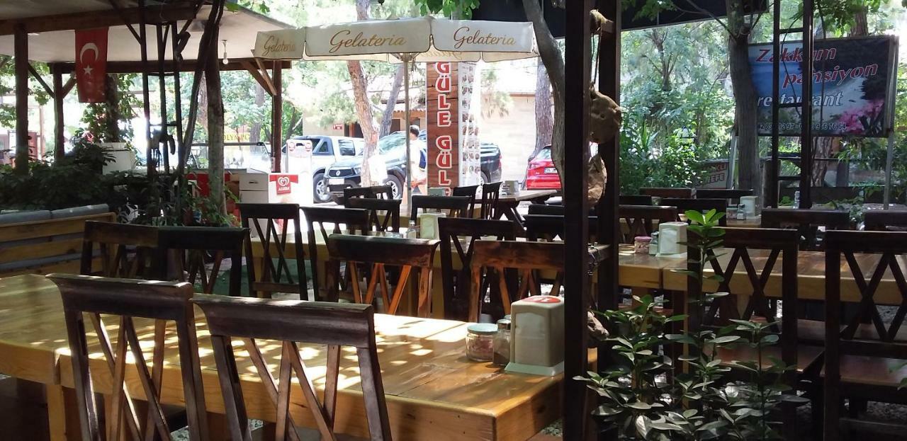 Zakkum Antalya