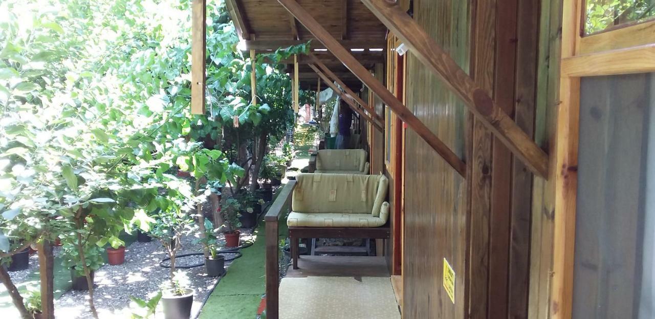 Homestay Zakkum Antalya