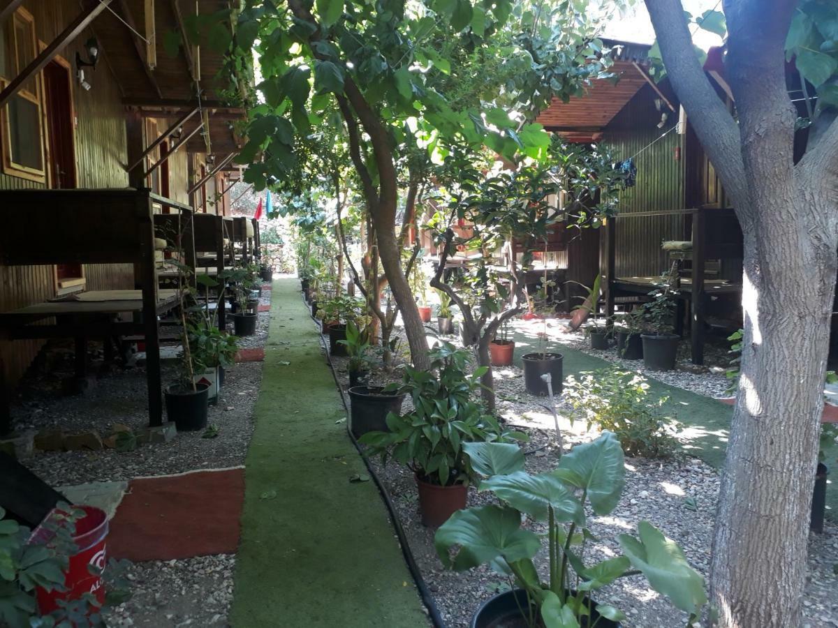 Zakkum Homestay