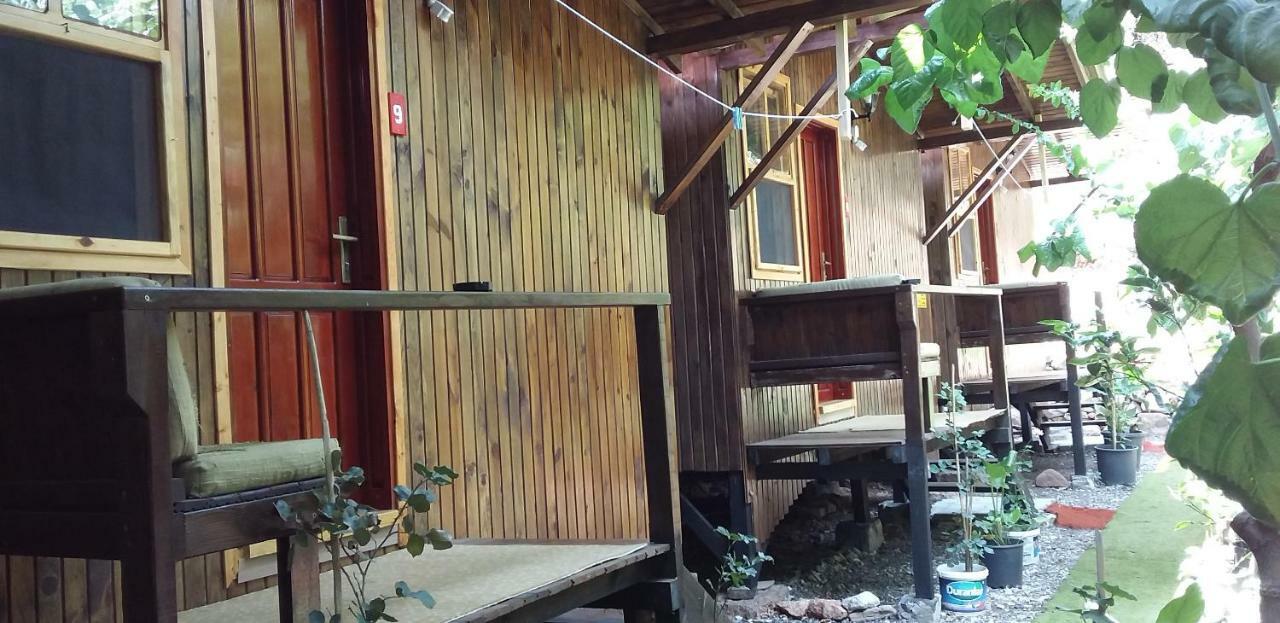 Homestay Zakkum *