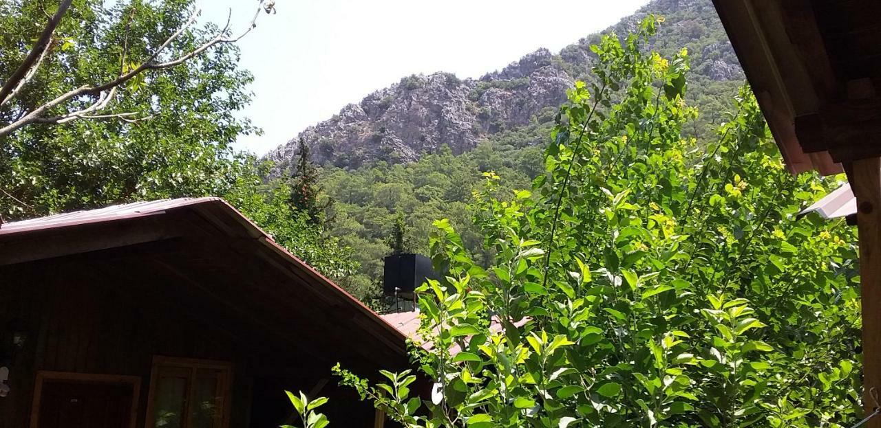 Homestay Zakkum Antalya