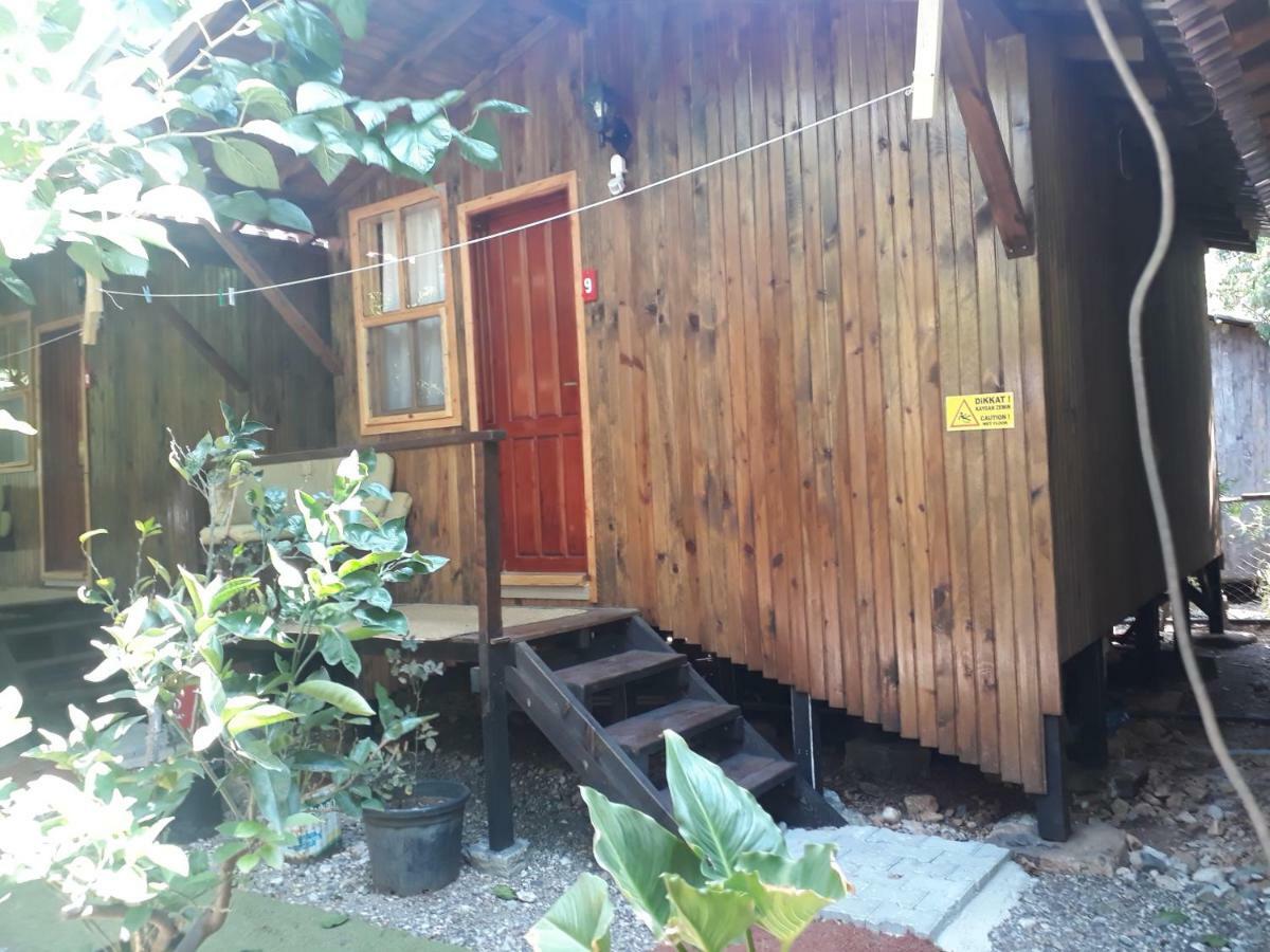 Homestay Zakkum *