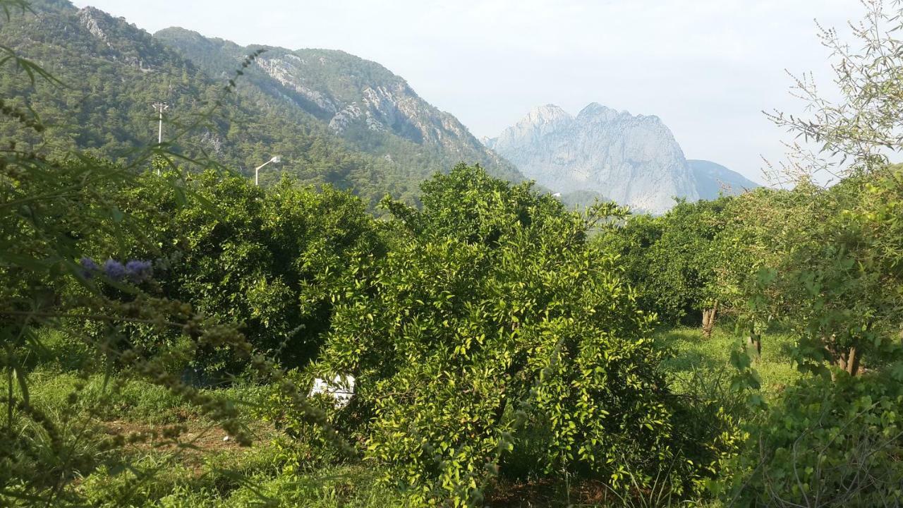 Zubeyde Hanim Evleri Antalya